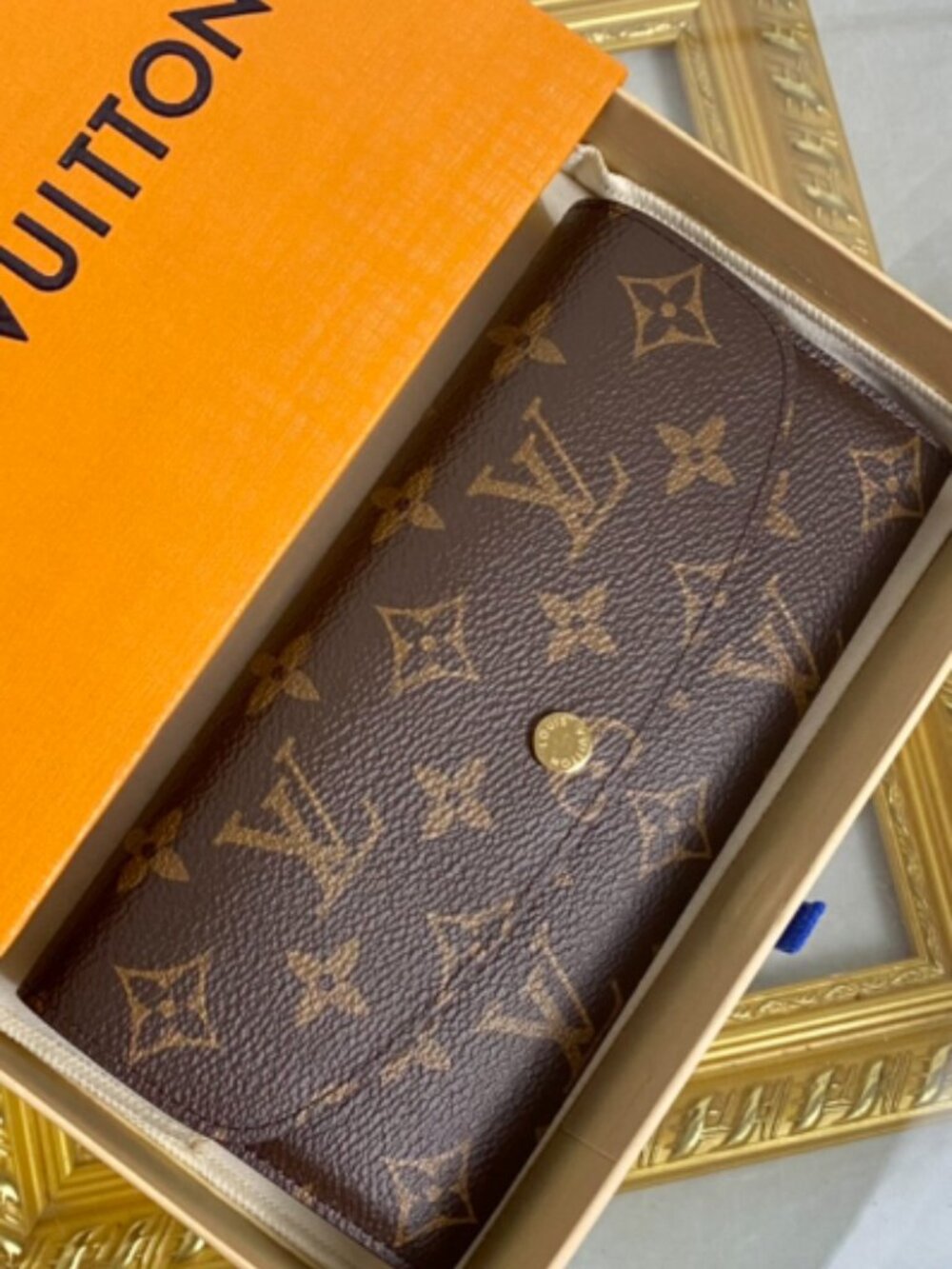 Louis Vuitton brown bag